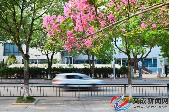 �D�f|��߅���_��ʢ