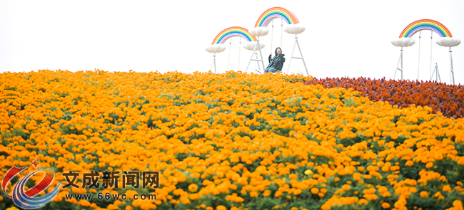 �D�f | �������ﻨ��