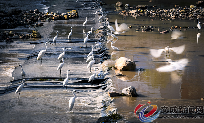 �D�f|���������] �M�@���B(t��i)��