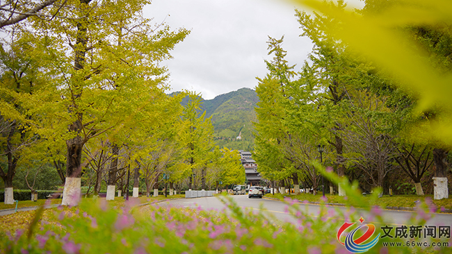 �M�D | ���С�_�ӡ�