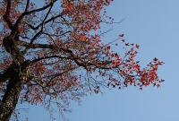 ���� ���^(gu��)�t���ŵ�����һ�ף�