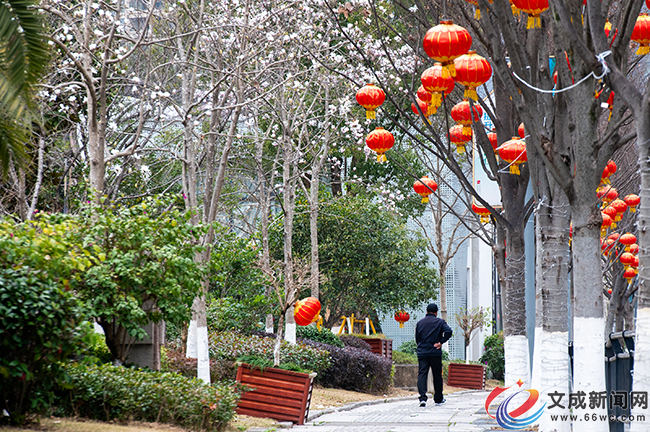 �D�f���������󴺡���