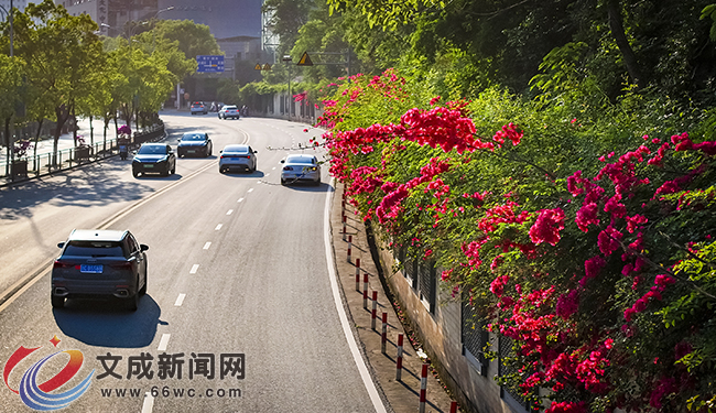 �D�f | ��ǻ��_ �MĿ���A