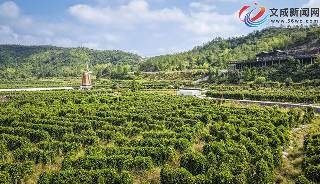 �ĳ�Ŵ��ɽˎ�������� ���g���^�L���S��?q��ng)D��