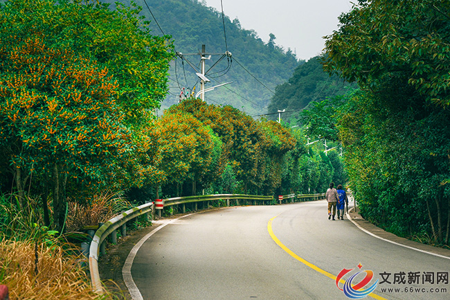 �ĳɣ��������� ���˕r(sh��)��