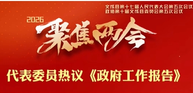 ����ί�T���h������������桷