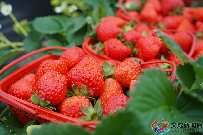 �l(xi��ng)�干�����£��ߟᡰ���۽�(j��ng)��(j��)�� ���i���ա�ݮ���Õr(sh��)��